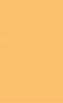 4092 - Ice Cream Waffle Cone Micro